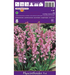 LINKSMĖS HYACINTHOIDES PINK