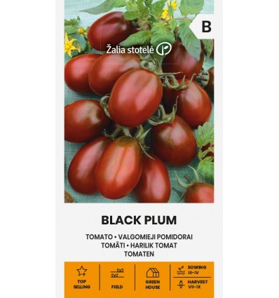 VALGOMIEJI POMIDORAI BLACK PLUM