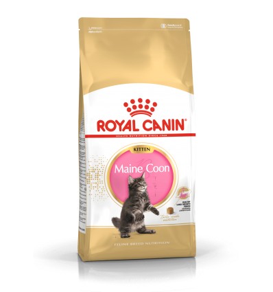 ROYAL CANIN FBN 2KG KITTEN MAINE COON KAČIUKAMS